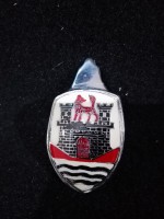 EMBLEMA DE COFRE